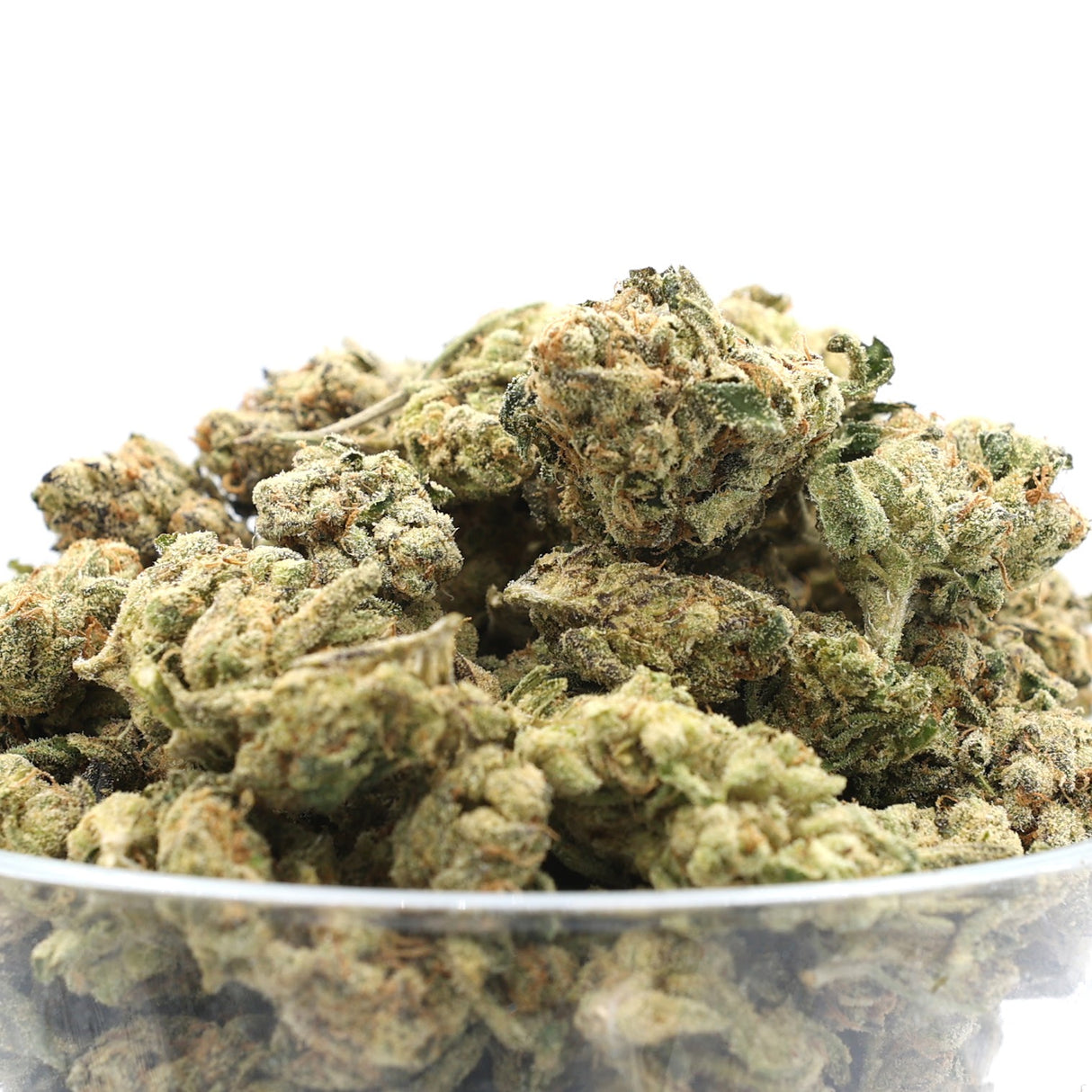 High Hippy | Premium Flower (3.5g Jars)