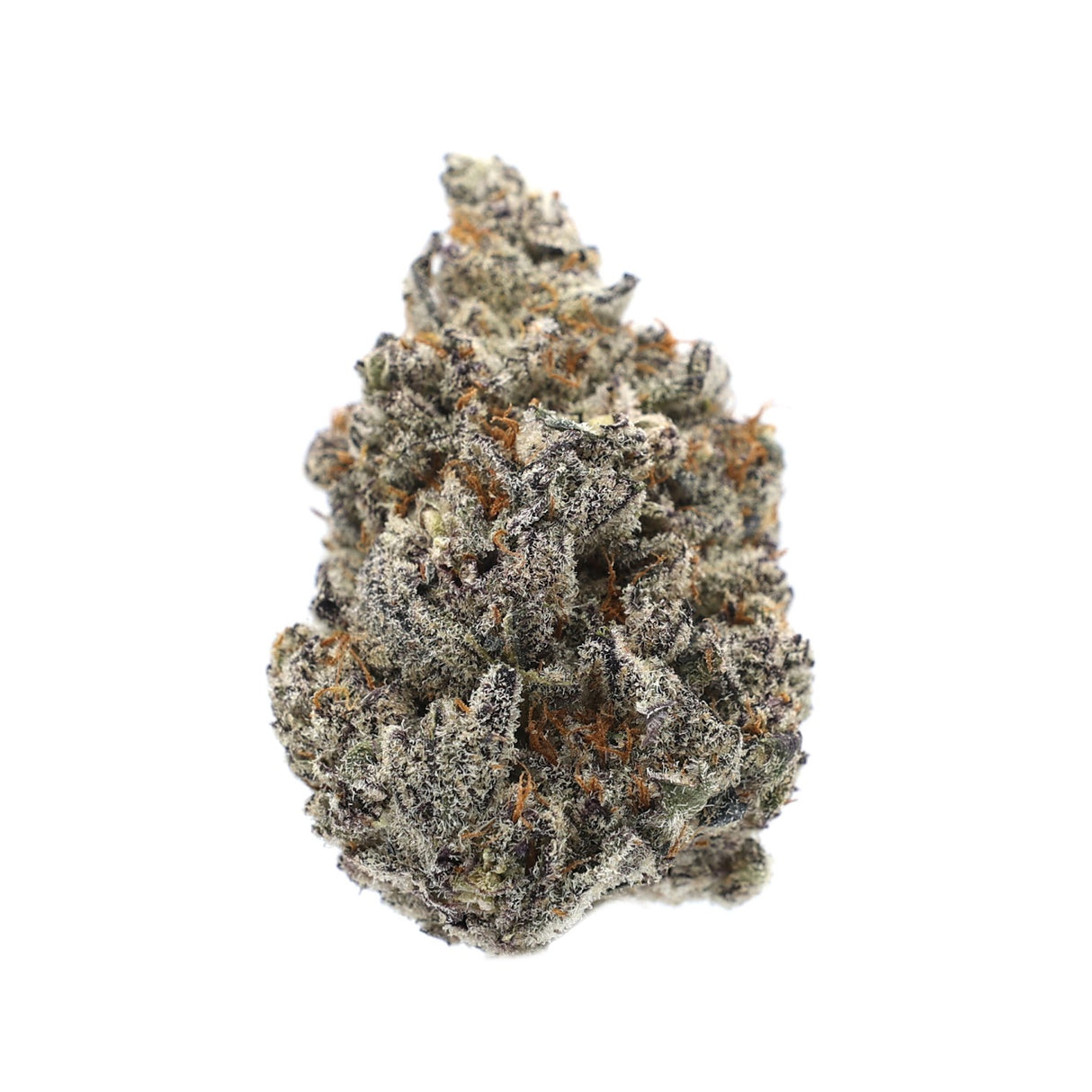 High Hippy | Premium Flower (3.5g Jars)