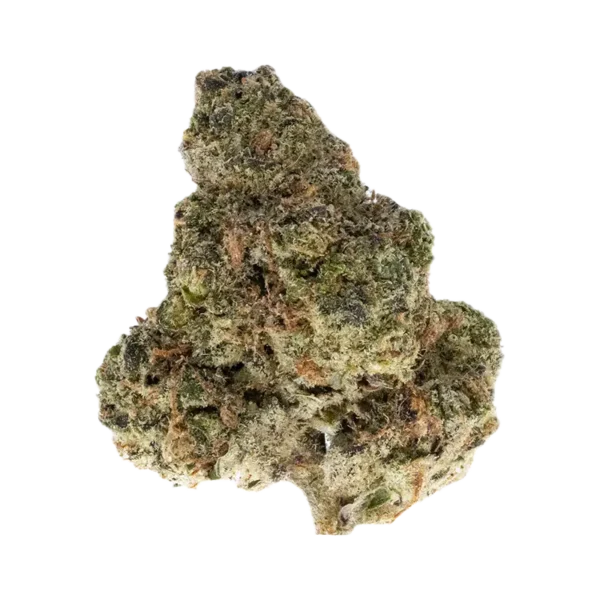 High Hippy - Governmint Oasis