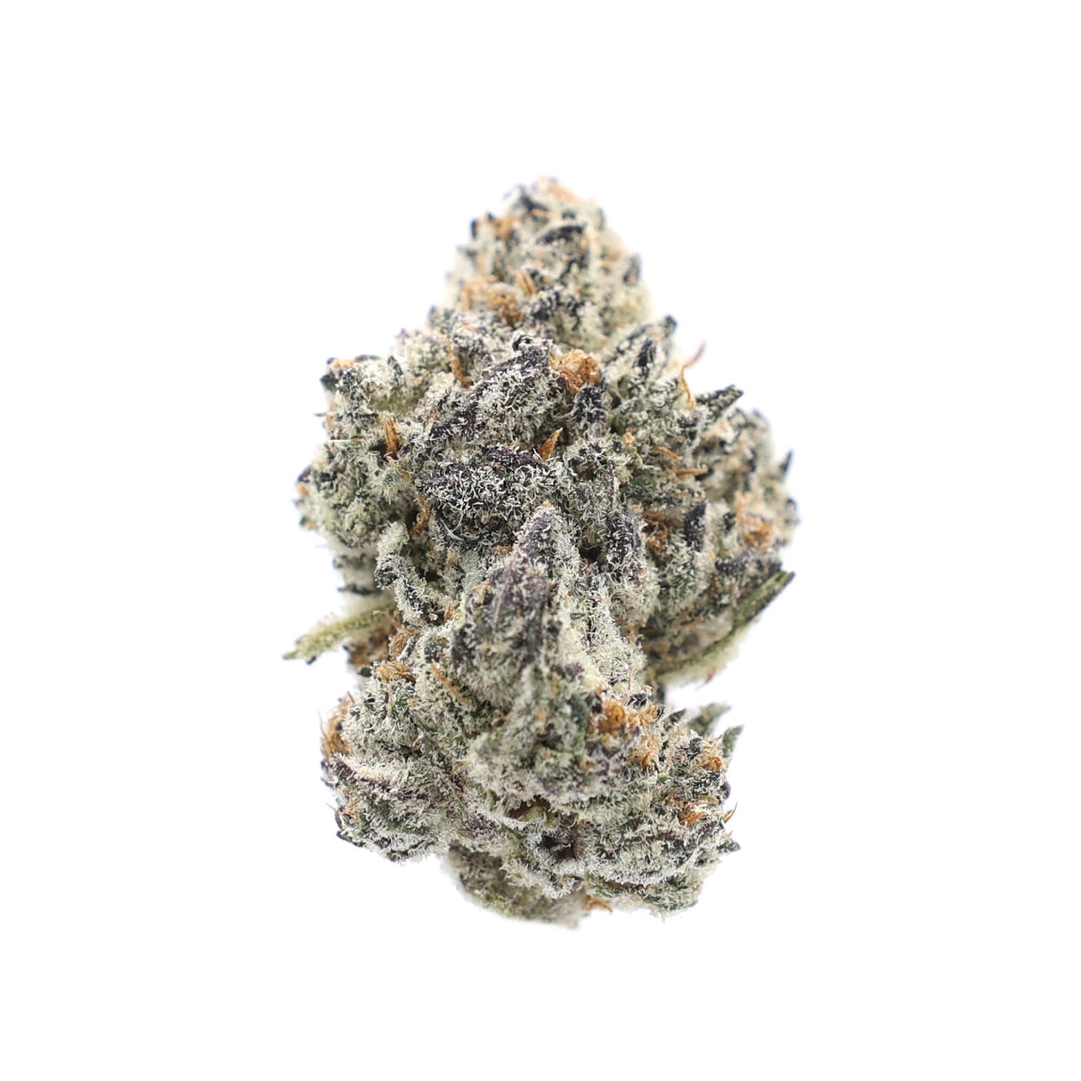 High Hippy | Premium Flower (3.5g Jars)