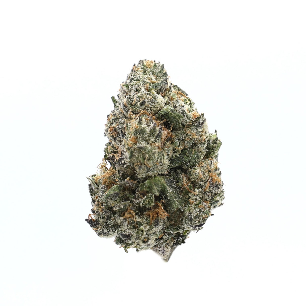 High Hippy | Premium Flower (3.5g Jars)