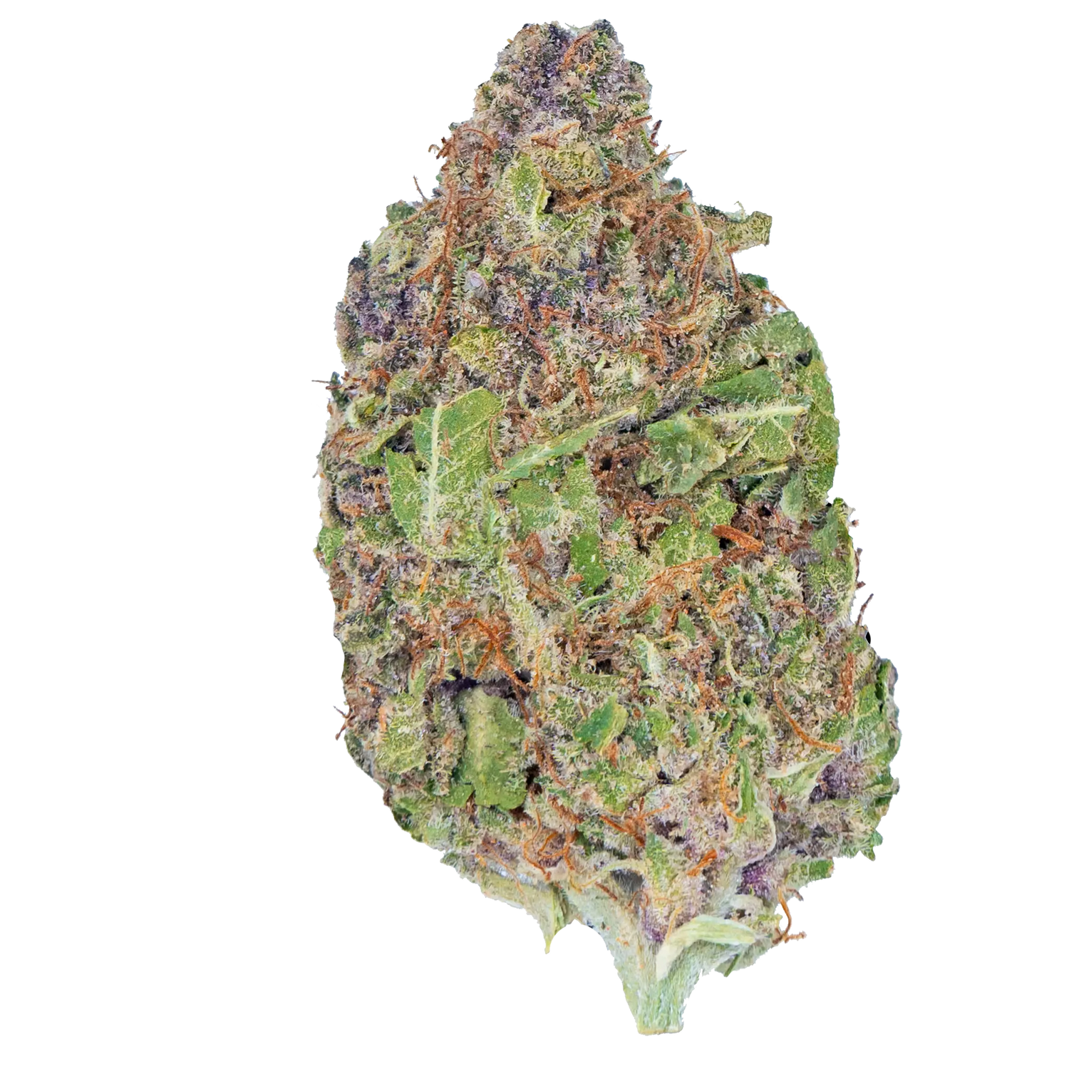 Bay Smokes | B Lou's Sticky Glue - Premium THCa Flower