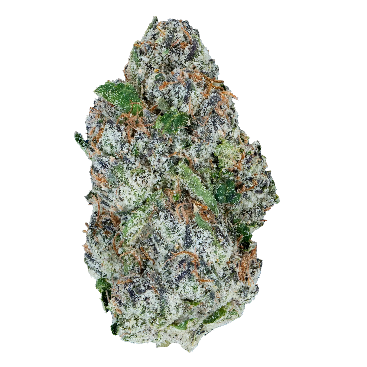 Bay Smokes | B Lou's Sticky Glue - Premium THCa Flower