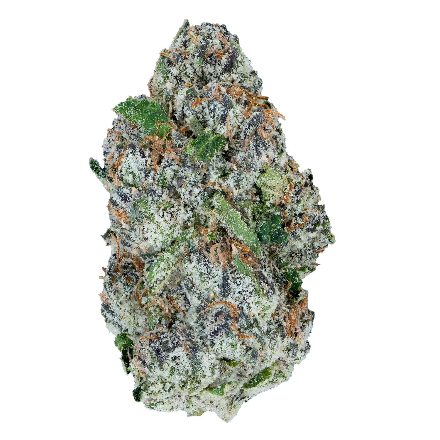 Bay Smokes | B Lou's Sticky Glue - Premium THCa Flower