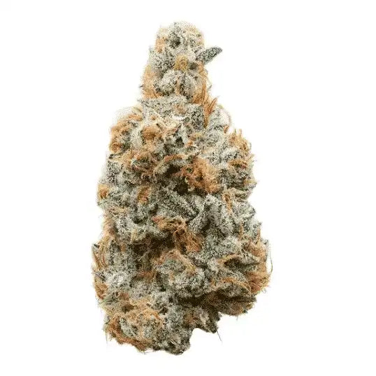 Bay Smokes | Lil Baby - Priority Exotics THCa Flower