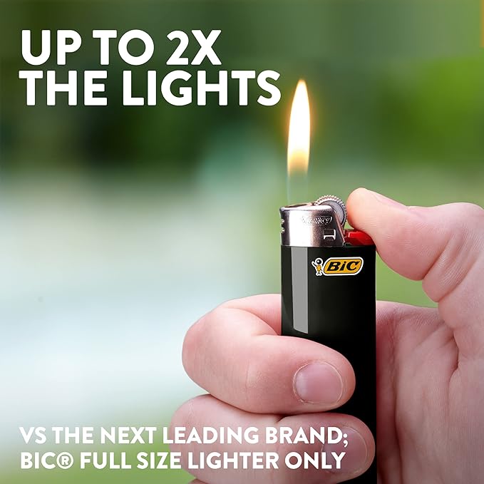 BIC Lighter