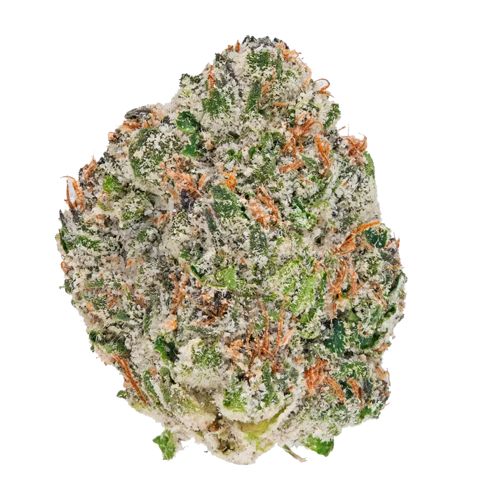 Bay Smokes | Hella Slumped - THCa Flower