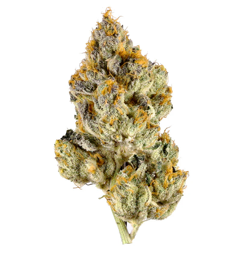 Fuego | Premium THCa Flower