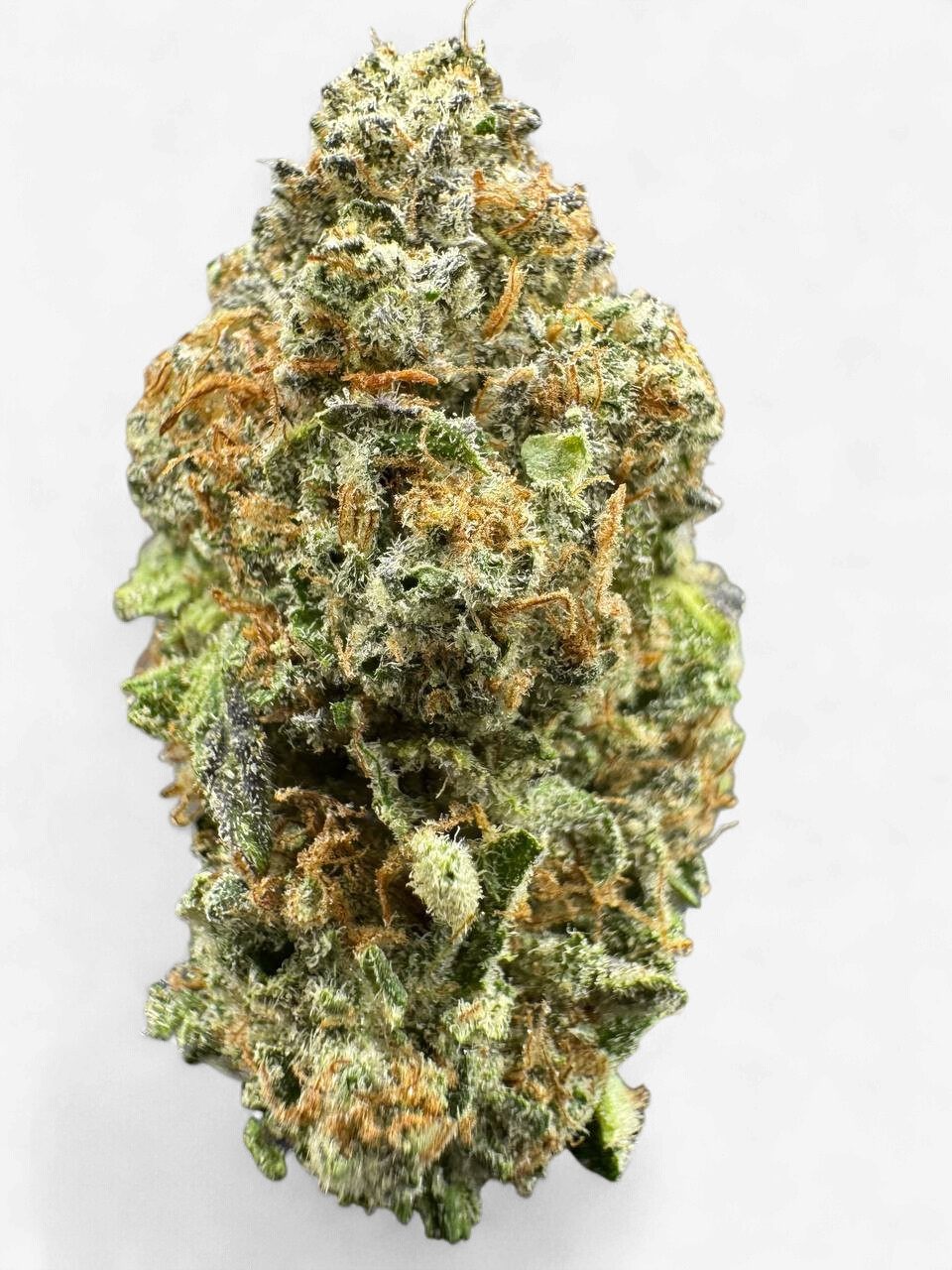 hmp. - Double Grape