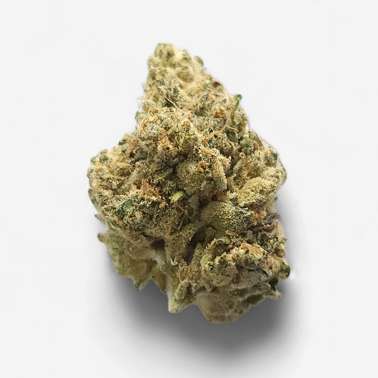 Cam | Kush Mints THCa Flower