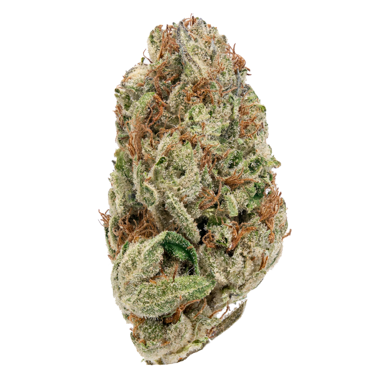 Bay Smokes | B Lou's Sticky Glue - Premium THCa Flower