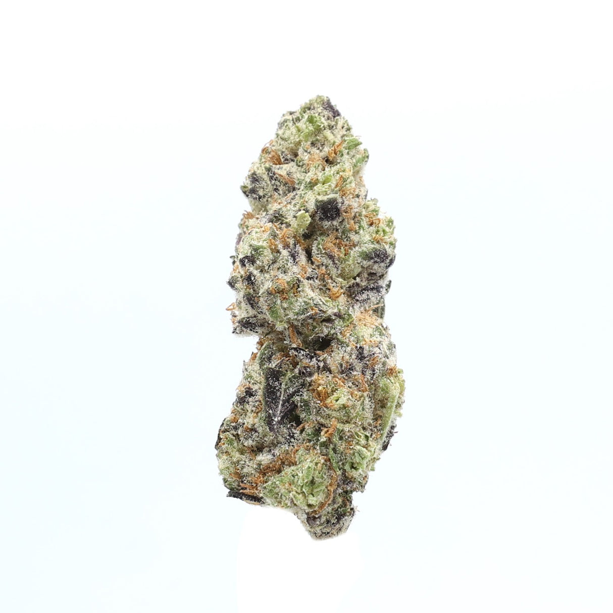 High Hippy | Premium Flower (3.5g Jars)