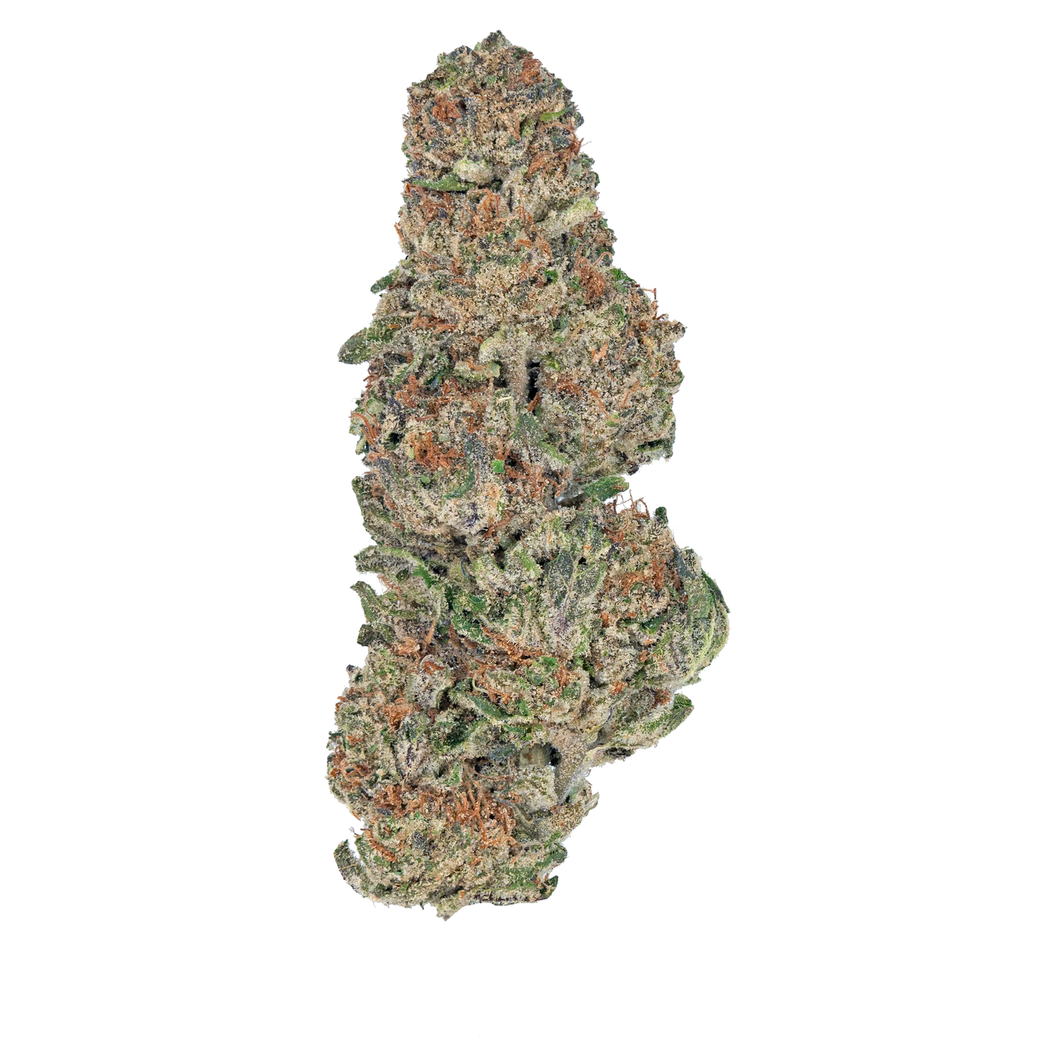 Bay Smokes | Only Gas - THCa Flower