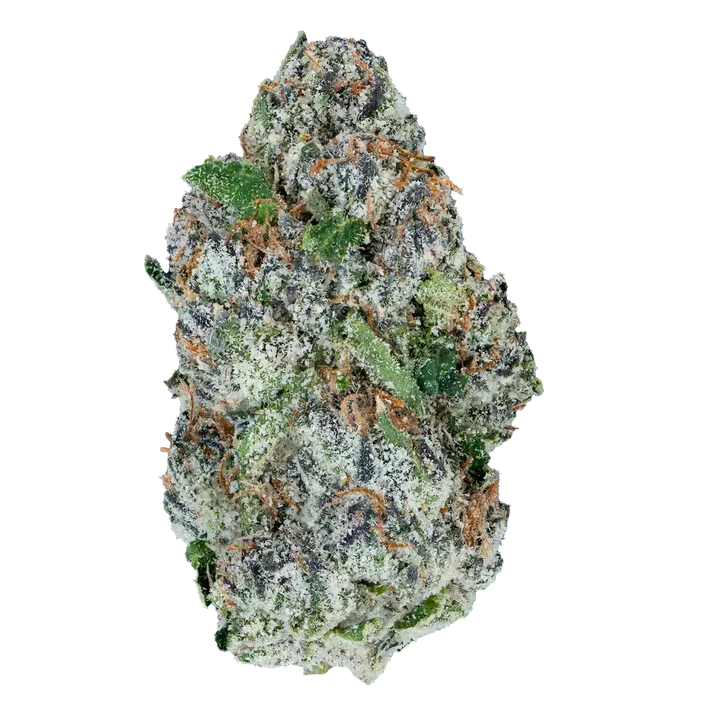 Bay Smokes | Lil Baby - Priority Exotics THCa Flower