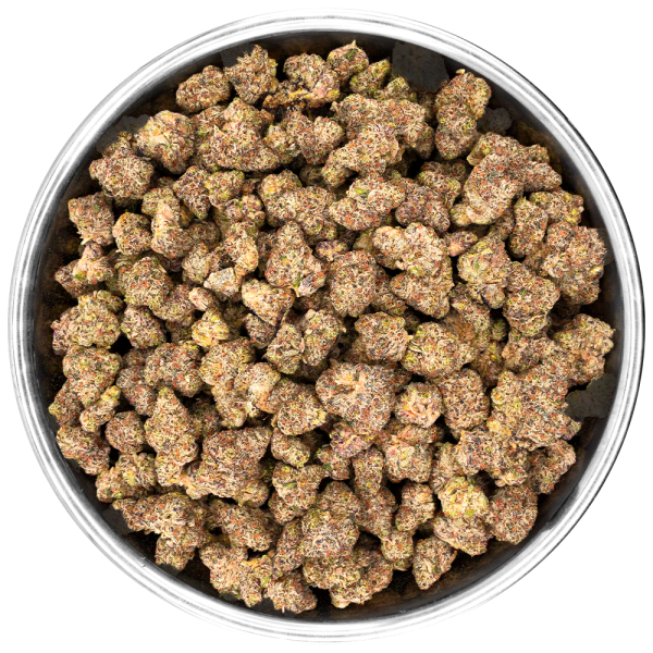 Hemp Living | Premium Indoor Grown THCa Flower - 1g Jar - White Chocolate Chip