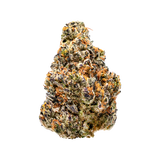 Hemp Living | Premium Indoor Grown THCa Flower - 1g Jar - White Chocolate Chip