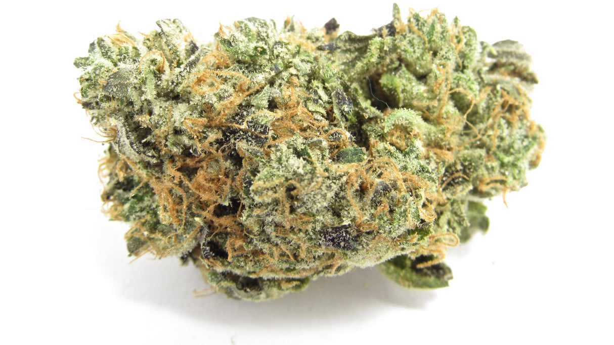 High Hippy - Blue Zushi (Exotic Smalls)