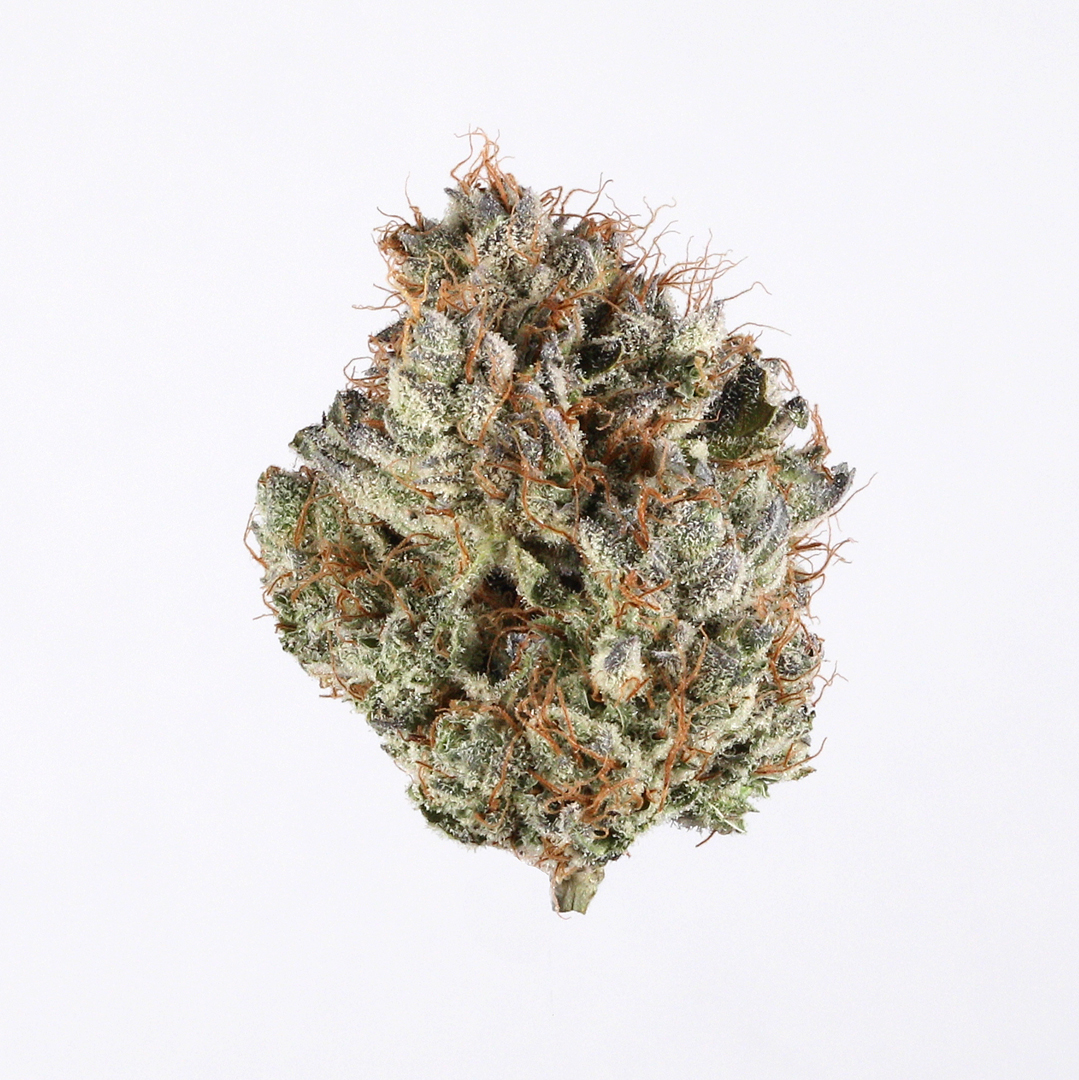 High Hippy - G Force (Exotic)