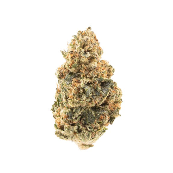 High Hippy - Big Mac (Greenhouse)
