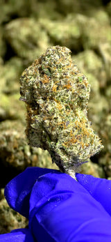 High hippy Premium Flower (3.5 jars)