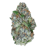 Bay Smokes | B Lou's Sticky Glue - Premium THCa Flower