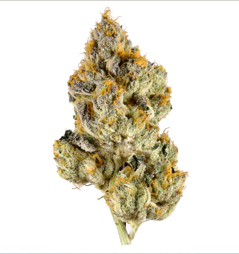 Fuego - Lemon Cherry Gelato (Trap Stash)