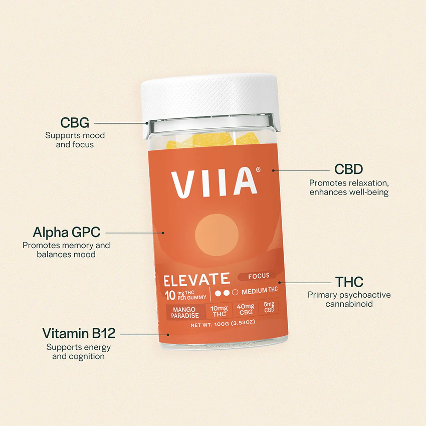 VIIA ELEVATE FOCUS THC 10MG GUMMIES