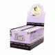 Blazy Susan 1 1/4 Purple Cones | 20 pack