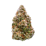 Hemp Living | Premium Indoor Grown THCa Flower - 1g Jar - Sour OG