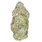 Bay Smokes | Lil Baby THCa Flower