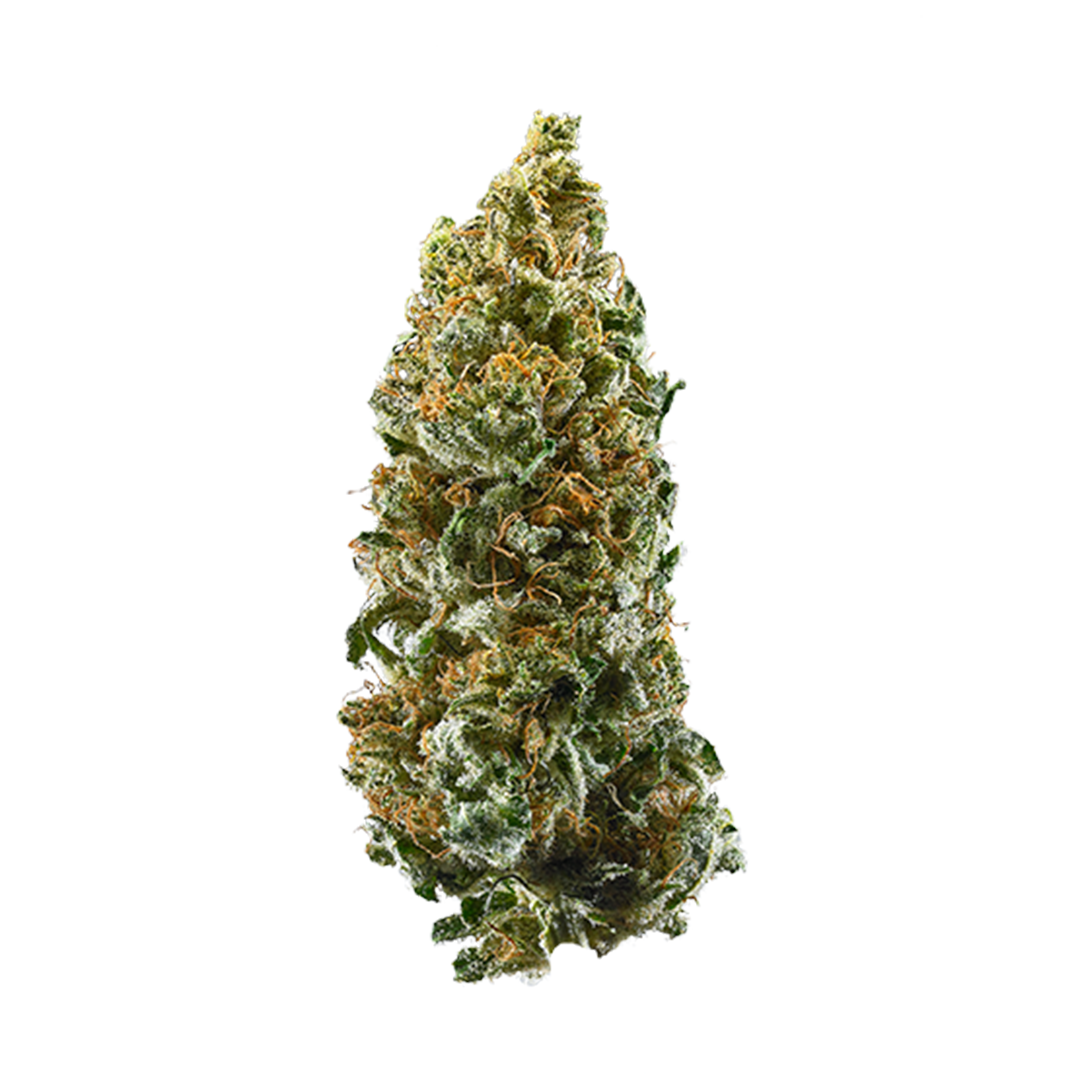 High Hippy - Guava Runtz (Greenhouse Smalls)