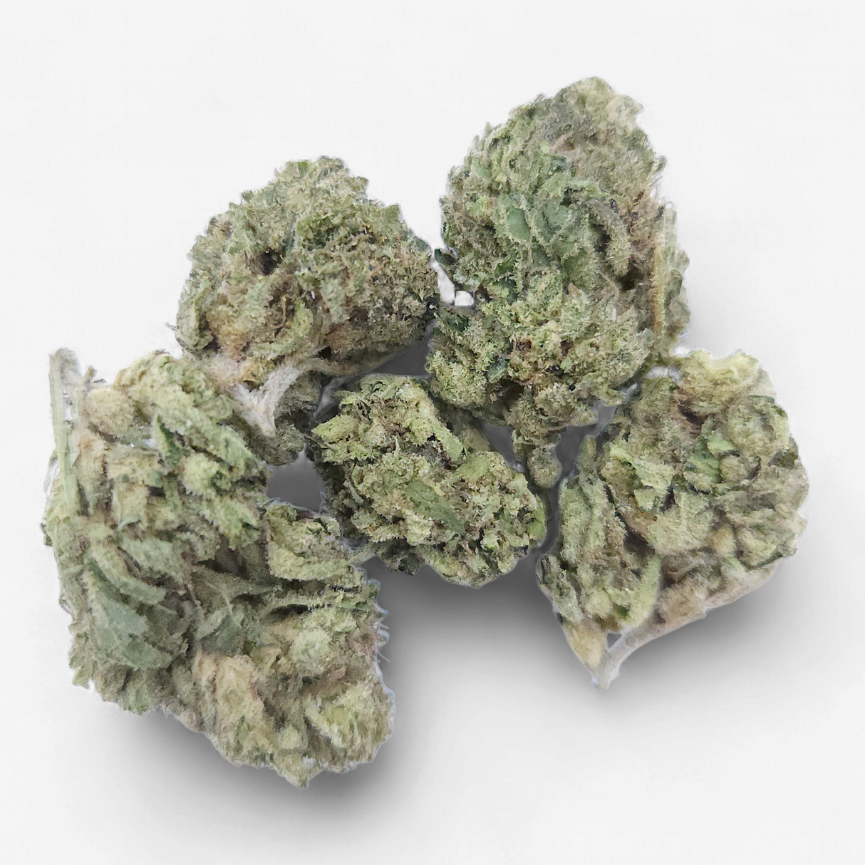 hmp. - Larry Bird (Light Dep)