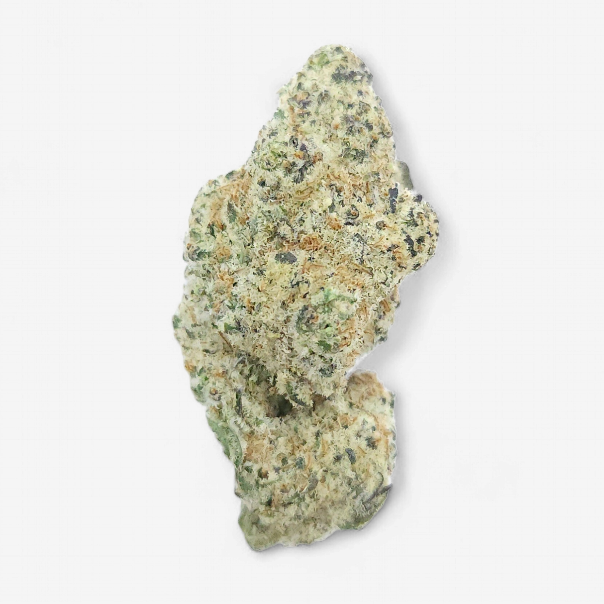 hmp. - Dosidos