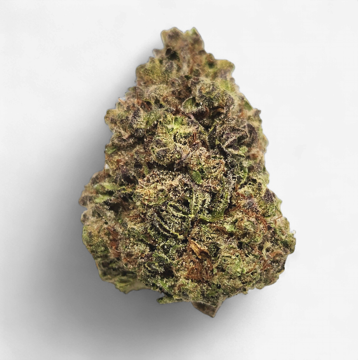 hmp. - Headband