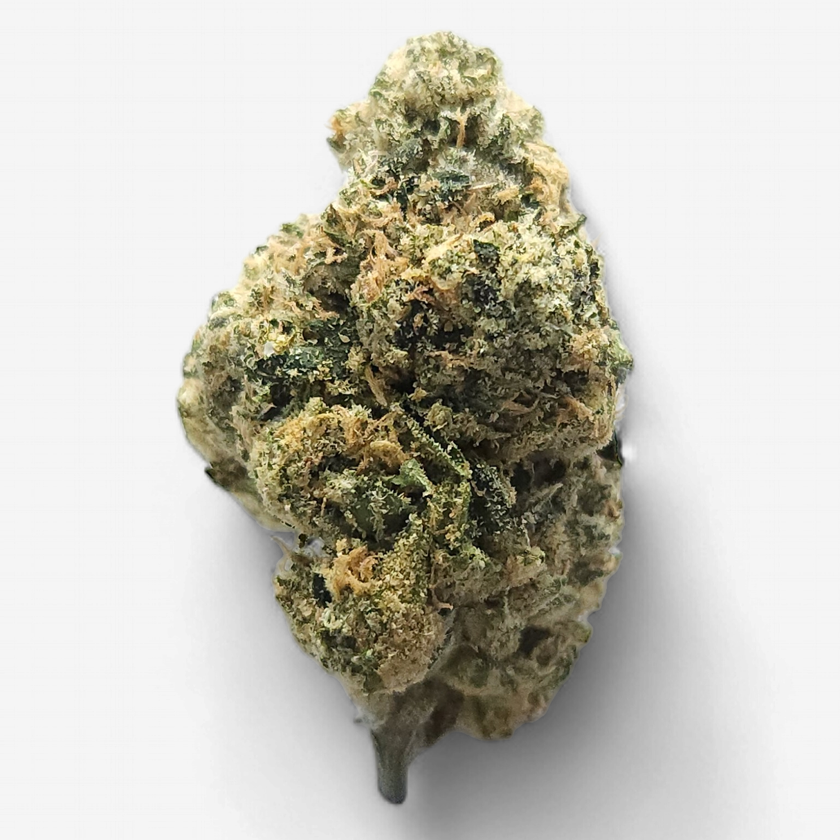 Cam | Brain Dead THCa Flower