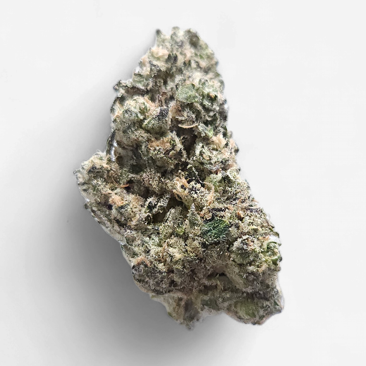 Cam | Bubba's Girl THCa Flower