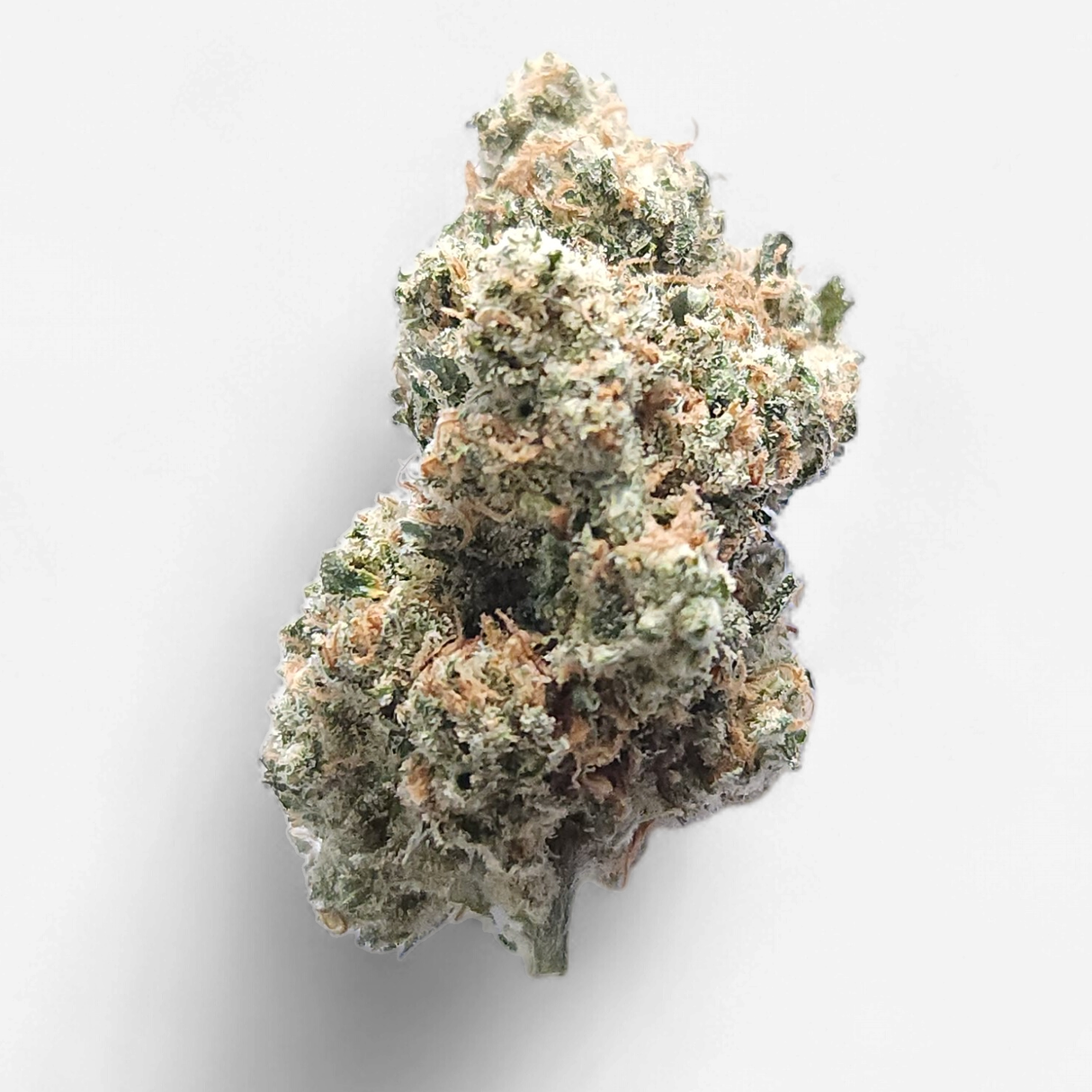 Cam | Jack Herer THCa Flower