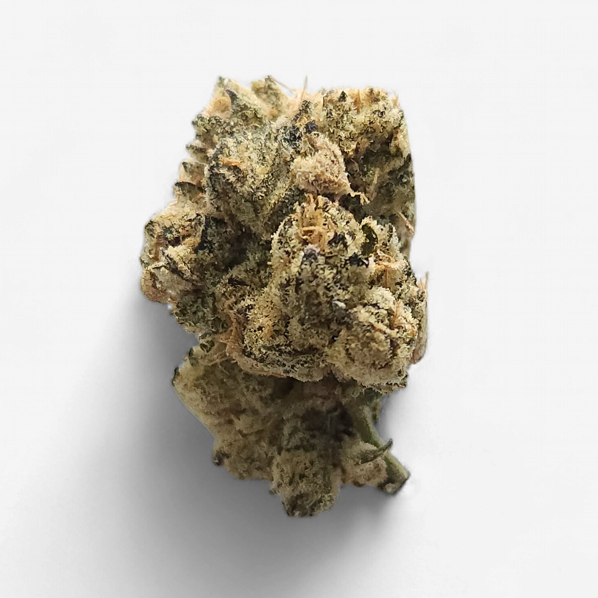 Cam | Cam Pop THCa Flower