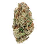 Bay Smokes | B Lou's Sticky Glue - Premium THCa Flower