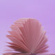Blazy Filter Tips