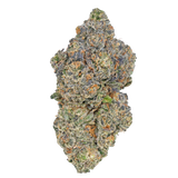 Bay Smokes | B Lou's Sticky Glue - Premium THCa Flower