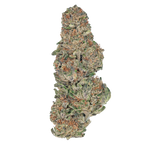 Bay Smokes | Only Gas - THCa Flower