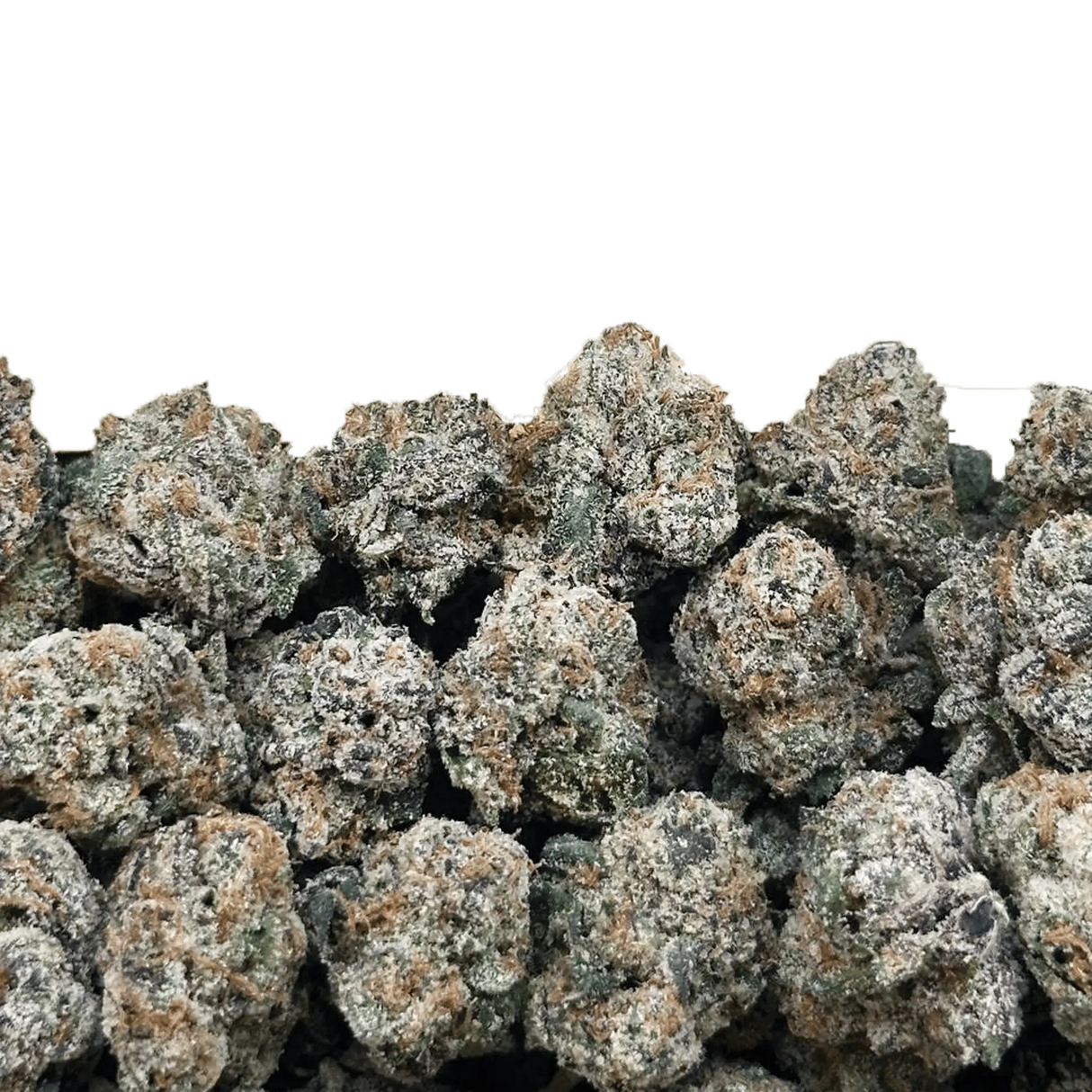 Bay Smokes | THCa Flower - Super Exotic Smalls