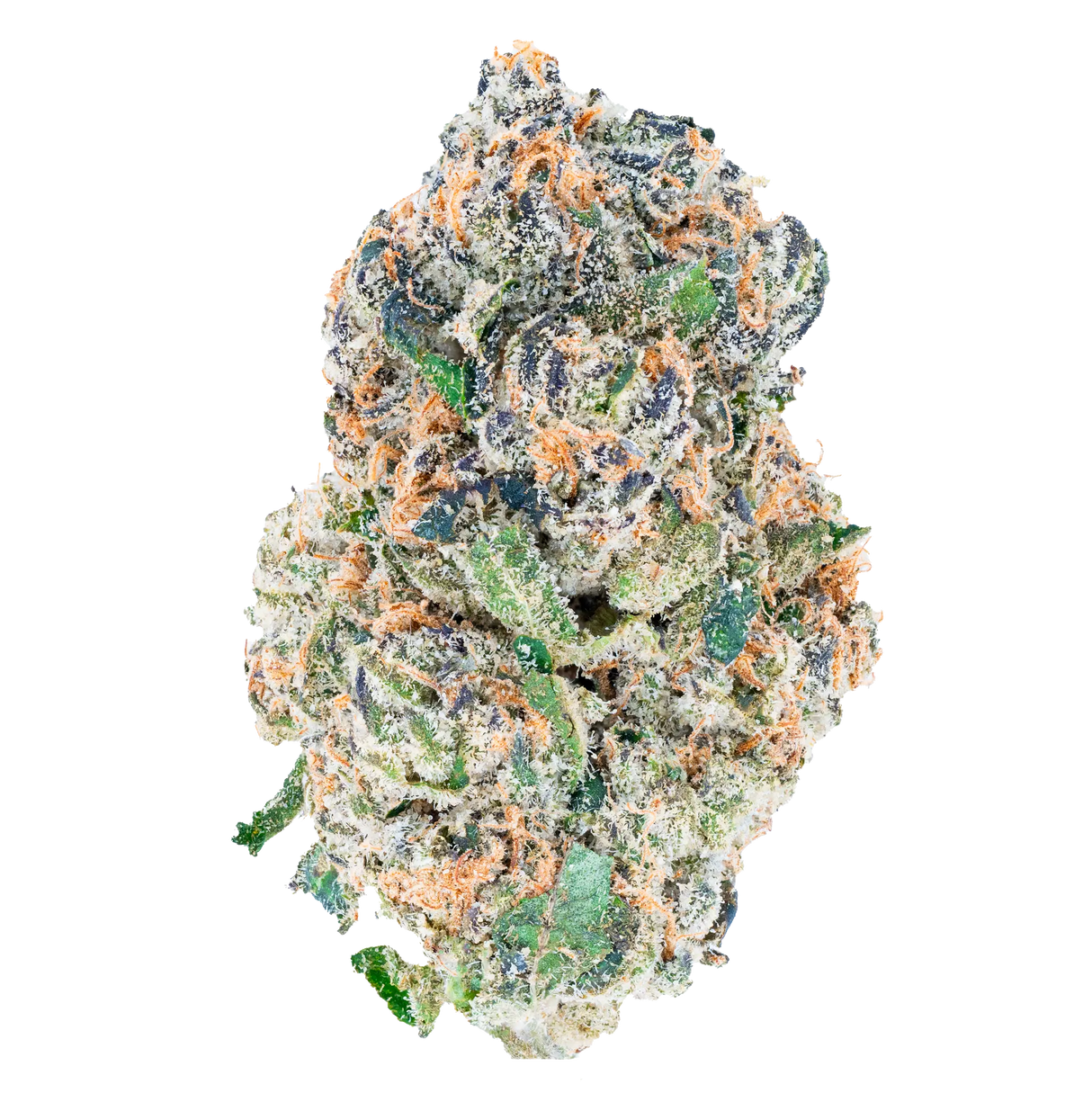Bay Smokes | Tres Leches / 3.5g (Hybrid) Exotic THCa Flower